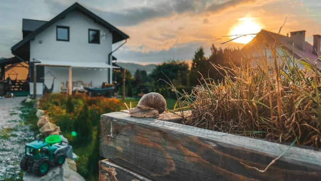 Ferienwohnung Magiczny Przystanek Myczków Exterior foto